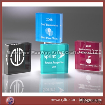 Modern Polished Rectangle Acrylic/Lucite Award/Letterweight/Gift with Your Logo